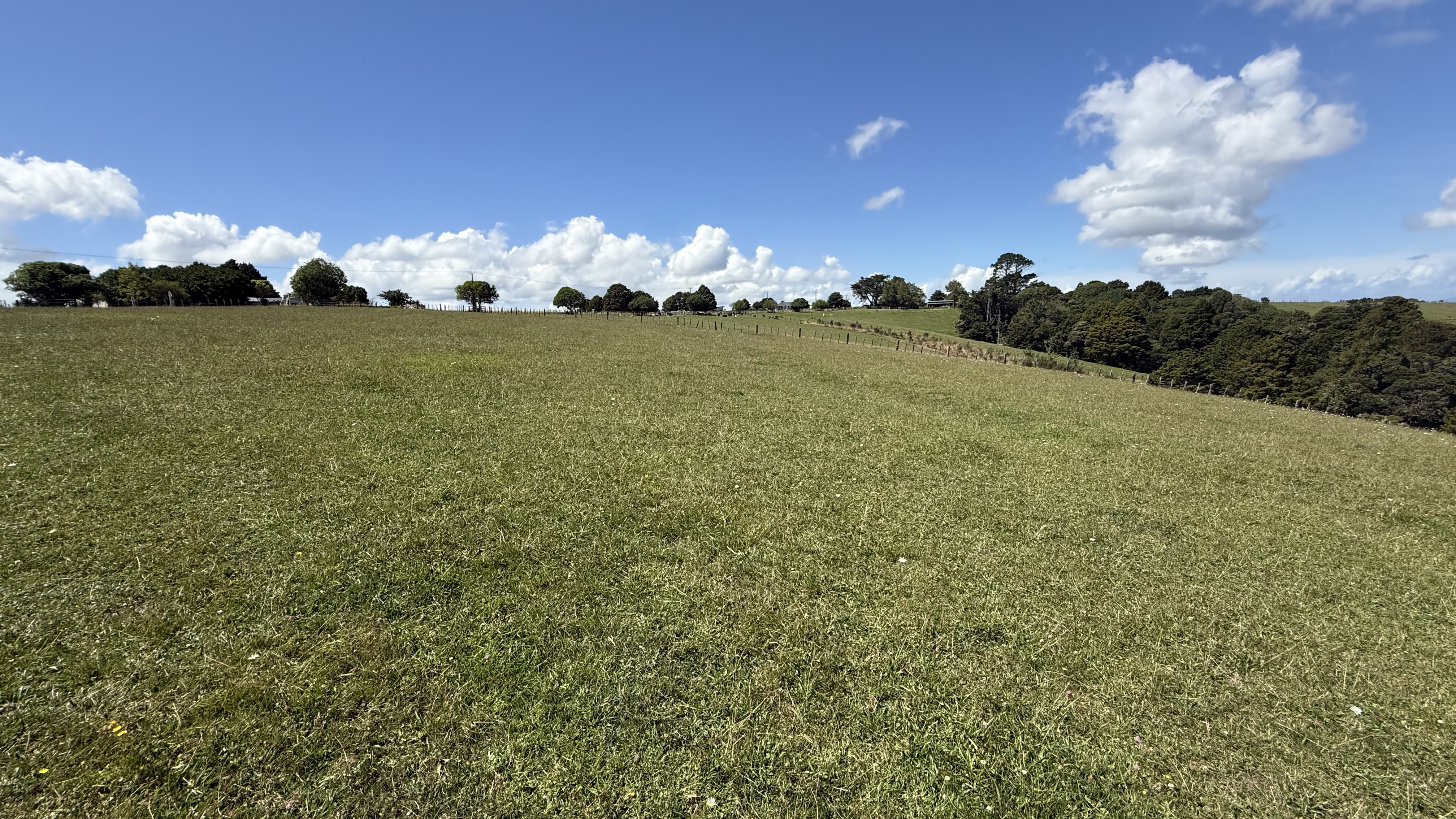 1013 Wiroa Road, Okaihau, Far North, 0 Bedrooms, 0 Bathrooms, Lifestyle Section