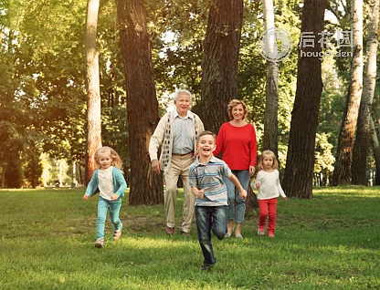 18 MCGREGOR DR, CRAIGNISH QLD 4655, 0 રૂમ, 0 બાથરૂમ, Section