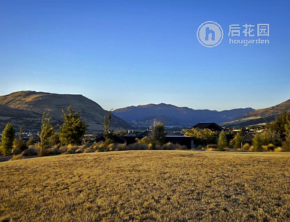 31 Jacks Point Rise, Jacks Point, Queenstown Lakes, 0 Schlafzimmer, 0 Badezimmer, Section