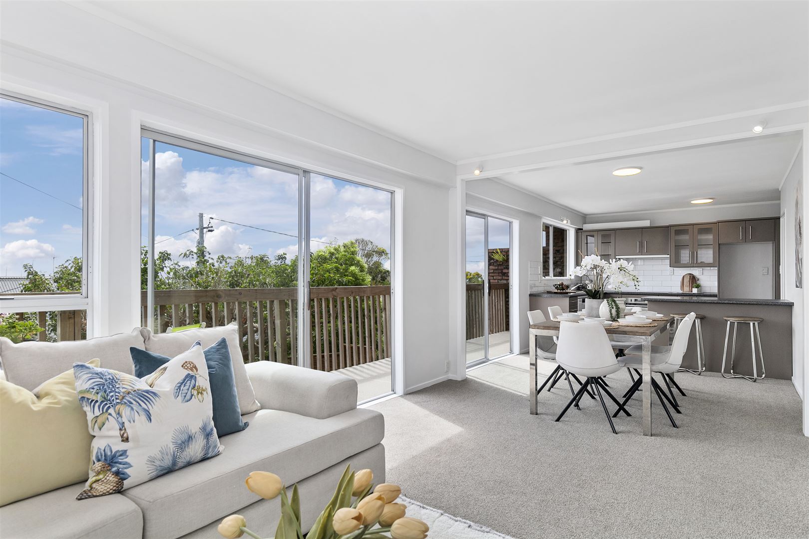 Residential  Mixed Housing Suburban Zone