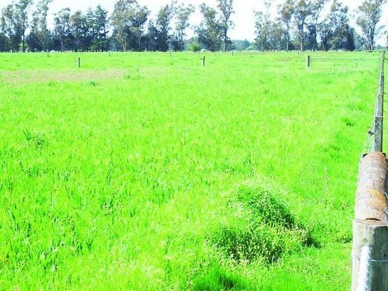 Zoned Rural