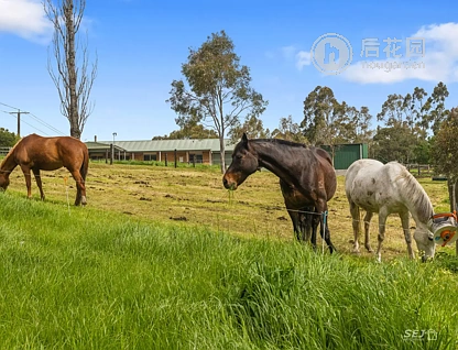 140 SHELLCOT RD, KORUMBURRA VIC 3950, 0 રૂમ, 0 બાથરૂમ, Lifestyle Section