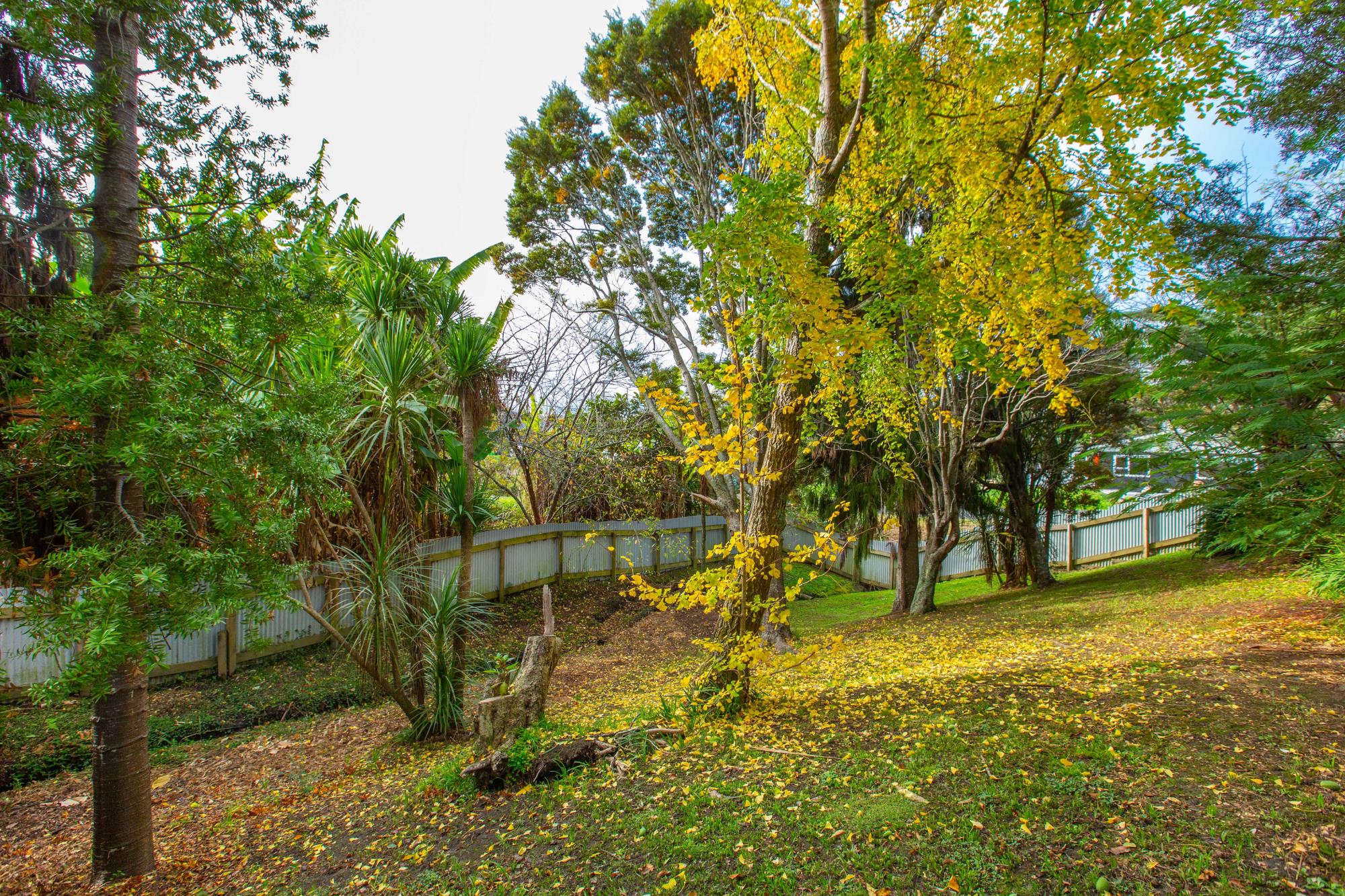 19 Simon Road, Raglan, Waikato, 2 રૂમ, 1 બાથરૂમ