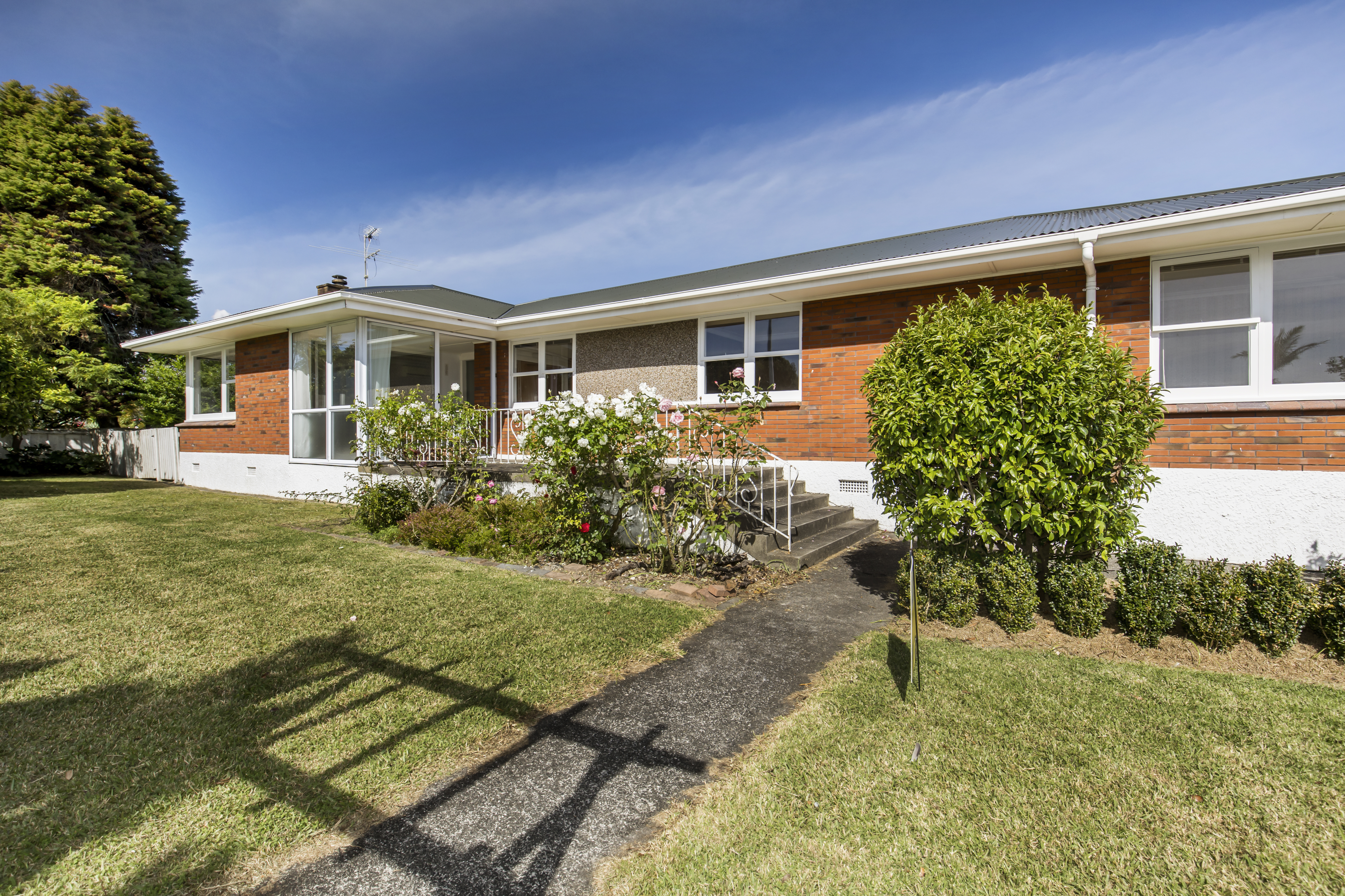 Residential  Terrace Housing and Apartment Building Zone
