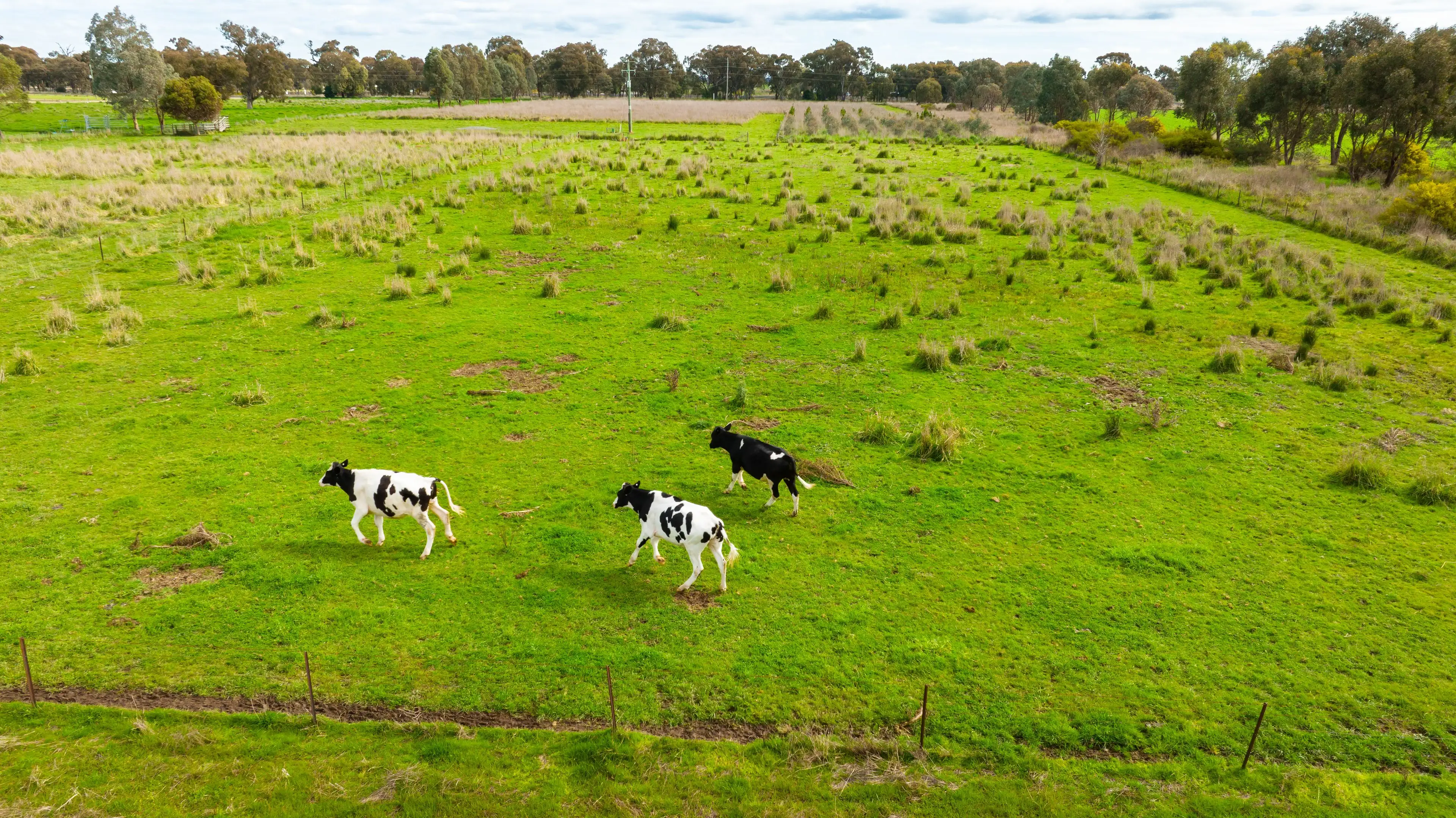 3168 OLYMPIC HWY, Culcairn, Riverina, 0 phòng ngủ, 0 phòng tắm, Section