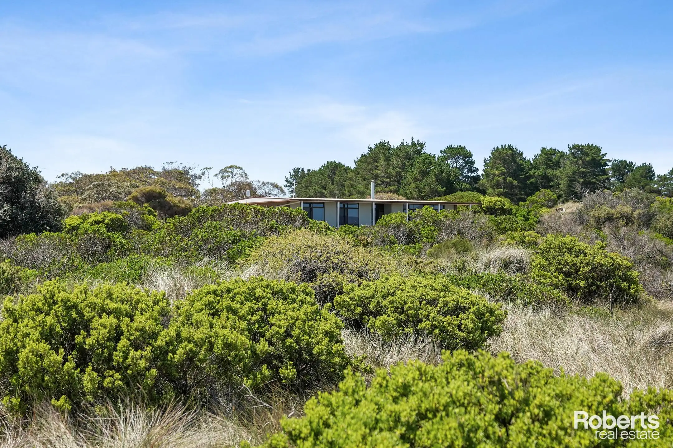356 DOLPHIN SANDS RD, Dolphin Sands, South East, 0房, 0浴, House