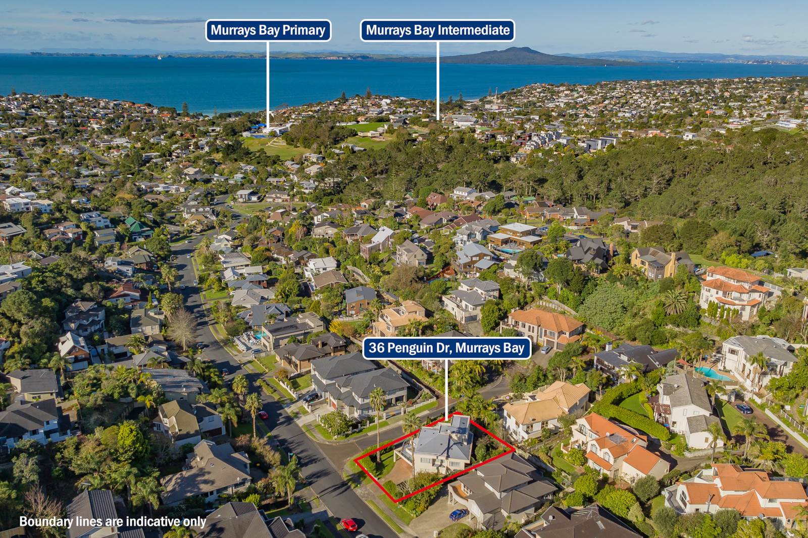 36 Penguin Drive, Murrays Bay, North Shore City, 5 ਕਮਰੇ, 5 ਬਾਥਰੂਮ, House