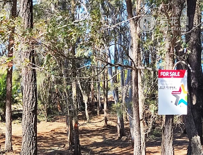 53 BEELONG ST, MACLEAY ISLAND QLD 4184, 0 ਕਮਰੇ, 0 ਬਾਥਰੂਮ, Section