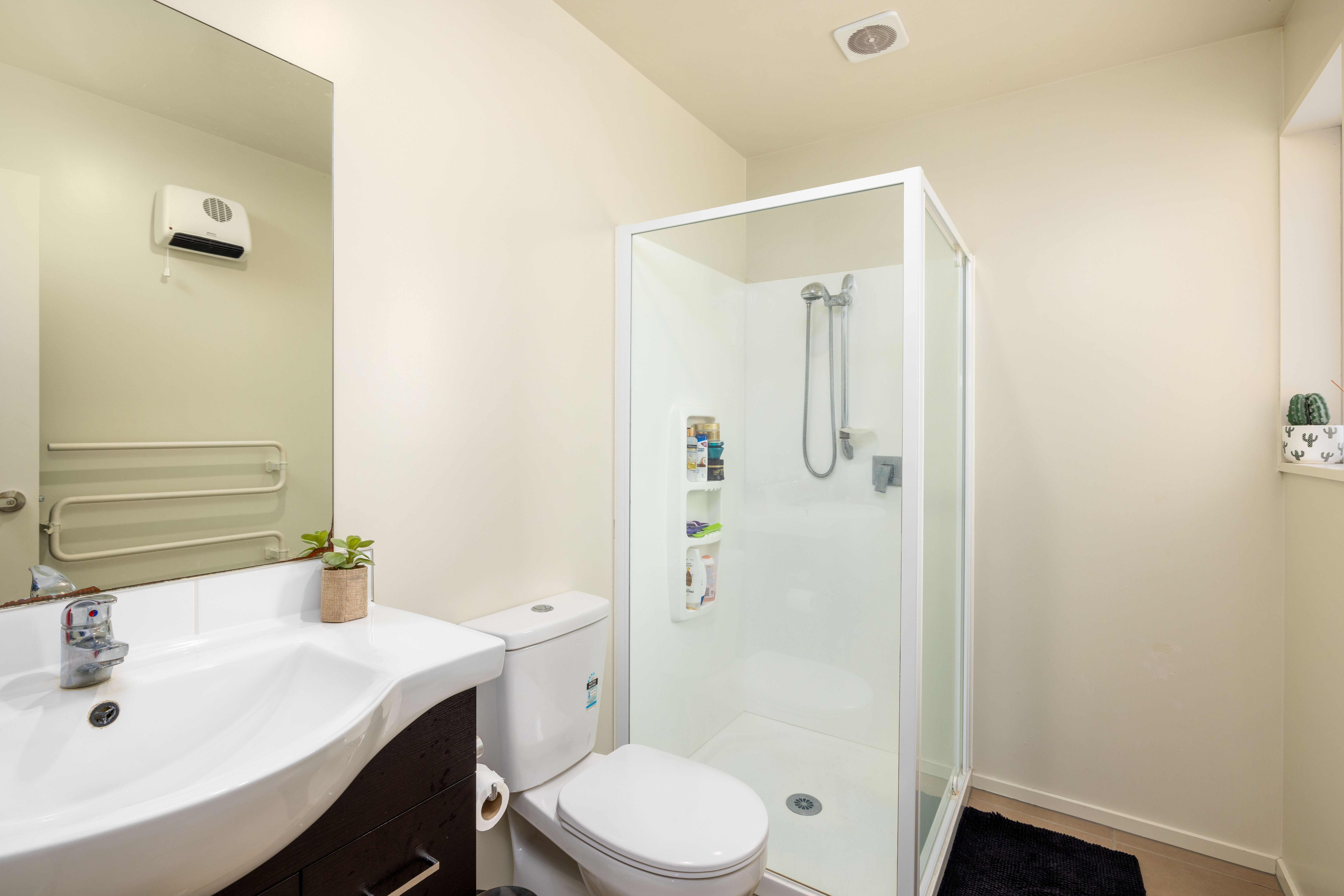 11b Percy Street, Phillipstown, Christchurch City, 2 રૂમ, 1 બાથરૂમ