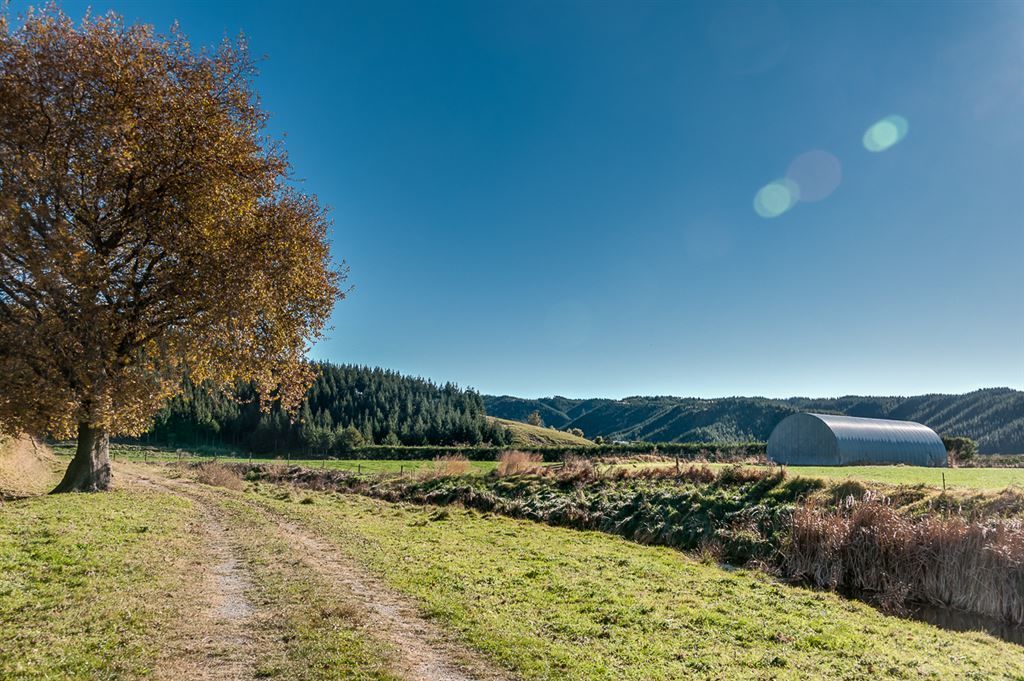 800 State Highway 51, Te Awa, Napier, 0 Schlafzimmer, 1 Badezimmer