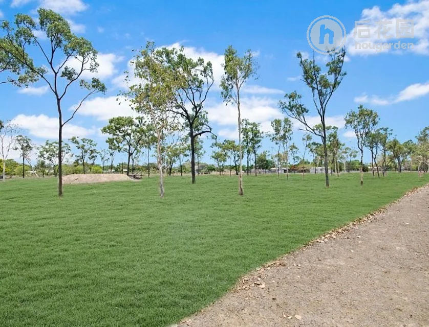 18 JENSEN RD, JENSEN QLD 4818, 0 Kuwarto, 0 Banyo, Section