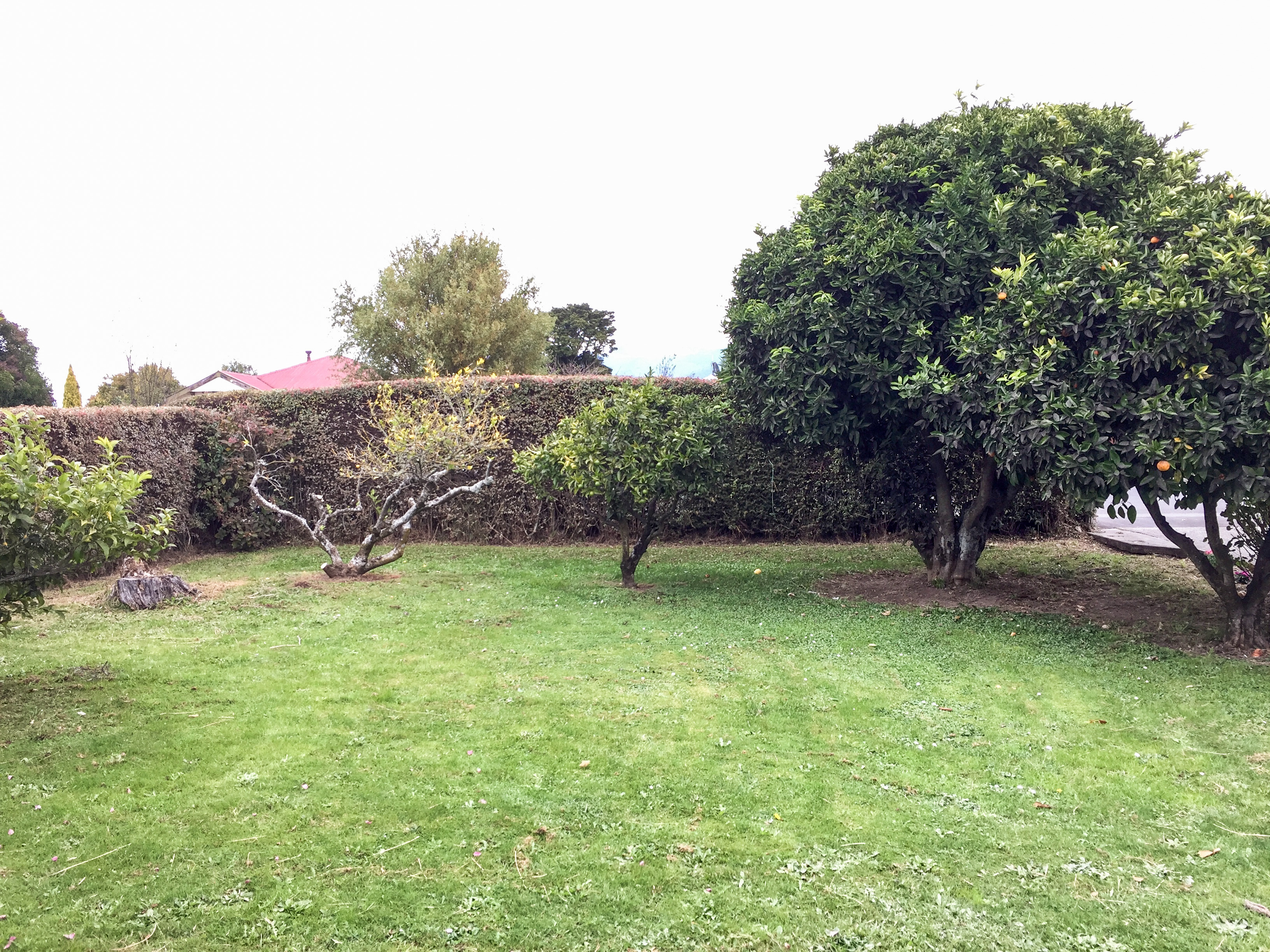 331 High Street, Motueka, Tasman, 3 રૂમ, 1 બાથરૂમ