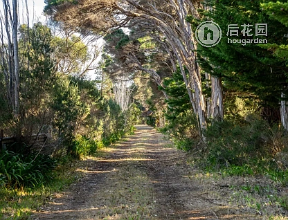 121 BEVIC RD, CLARENCE POINT TAS 7270, 0 Kuwarto, 0 Banyo, Section