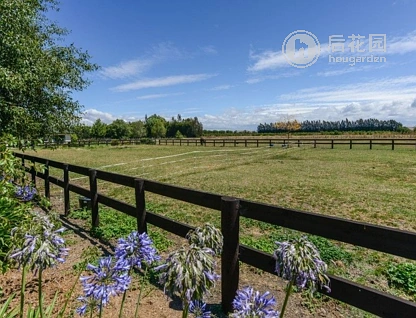 17 The Loop, Meeanee, Napier, 4房, 0浴