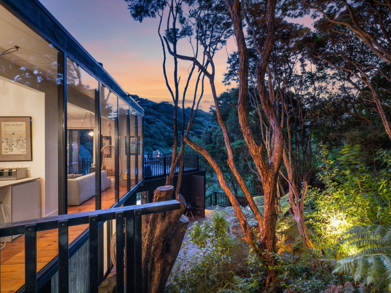 Hauraki Gulf Islands