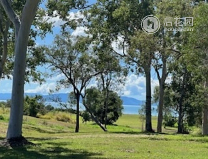 22 POWER BVD, MIDGE POINT QLD 4799, 0 slaapkamers, 0 badkamers, Section