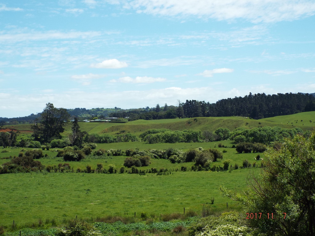 23 Hua Place, Tuakau, Franklin, 4 ਕਮਰੇ, 0 ਬਾਥਰੂਮ