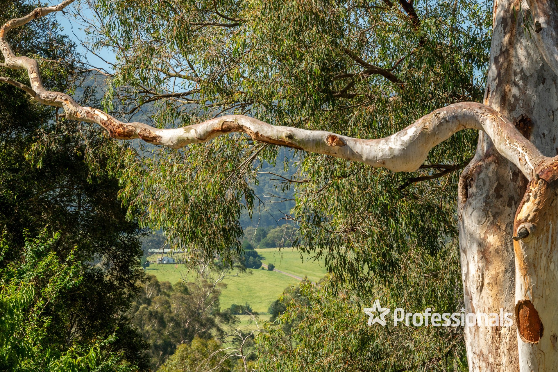 45 ALPINE BVD, Launching Place, Yarra Valley, 0 habitaciones, 0 baños, Section