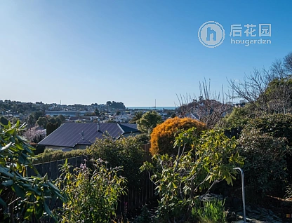 3a June Street, Highfield, Timaru, 2 ਕਮਰੇ, 1 ਬਾਥਰੂਮ