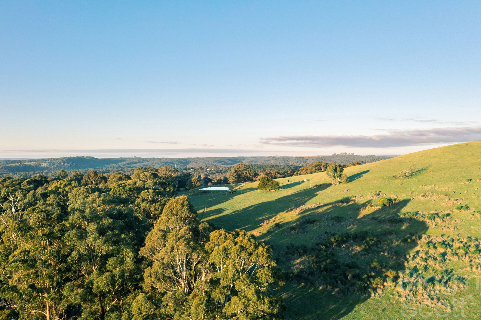 50 SCHEGGIAS TRK, Daylesford, Ballarat, 0 Bedrooms, 0 Bathrooms, Section