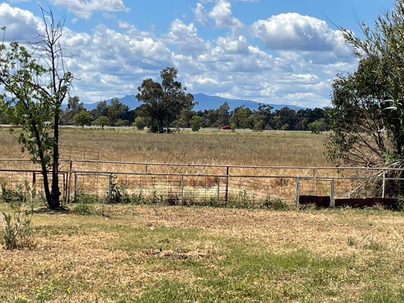 EAGLE PARK 11540 NEWELL HWY, Narrabri, Tamworth, 0 habitaciones, 0 baños, Lifestyle Section