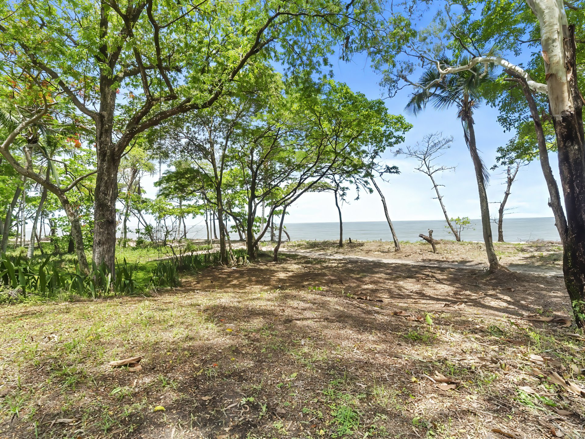 34 POINSETTIA ST, Holloways Beach, Cairns, 0 રૂમ, 0 બાથરૂમ, House