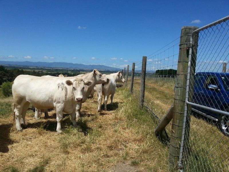 694 Makino Road, Feilding, Manawatu, 0 ਕਮਰੇ, 1 ਬਾਥਰੂਮ