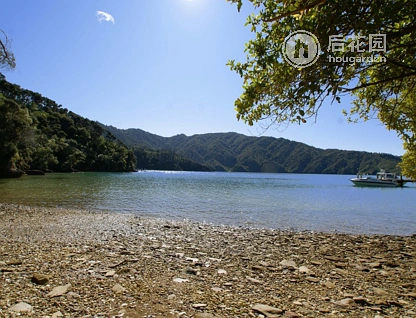 Bay Of Many Coves, Kenepuru Sound, Marlborough, 0 침실, 0 욕실