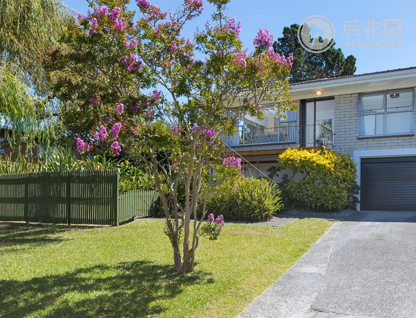 2/45 Knightsbridge Drive, Forrest Hill, Auckland - North Shore, 2房, 1浴