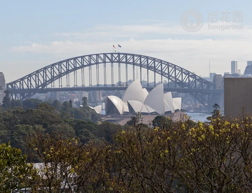 Unit 79/1 MCDONALD STREET, POTTS POINT, 0 कमरे, 0 बाथरूम, Studio