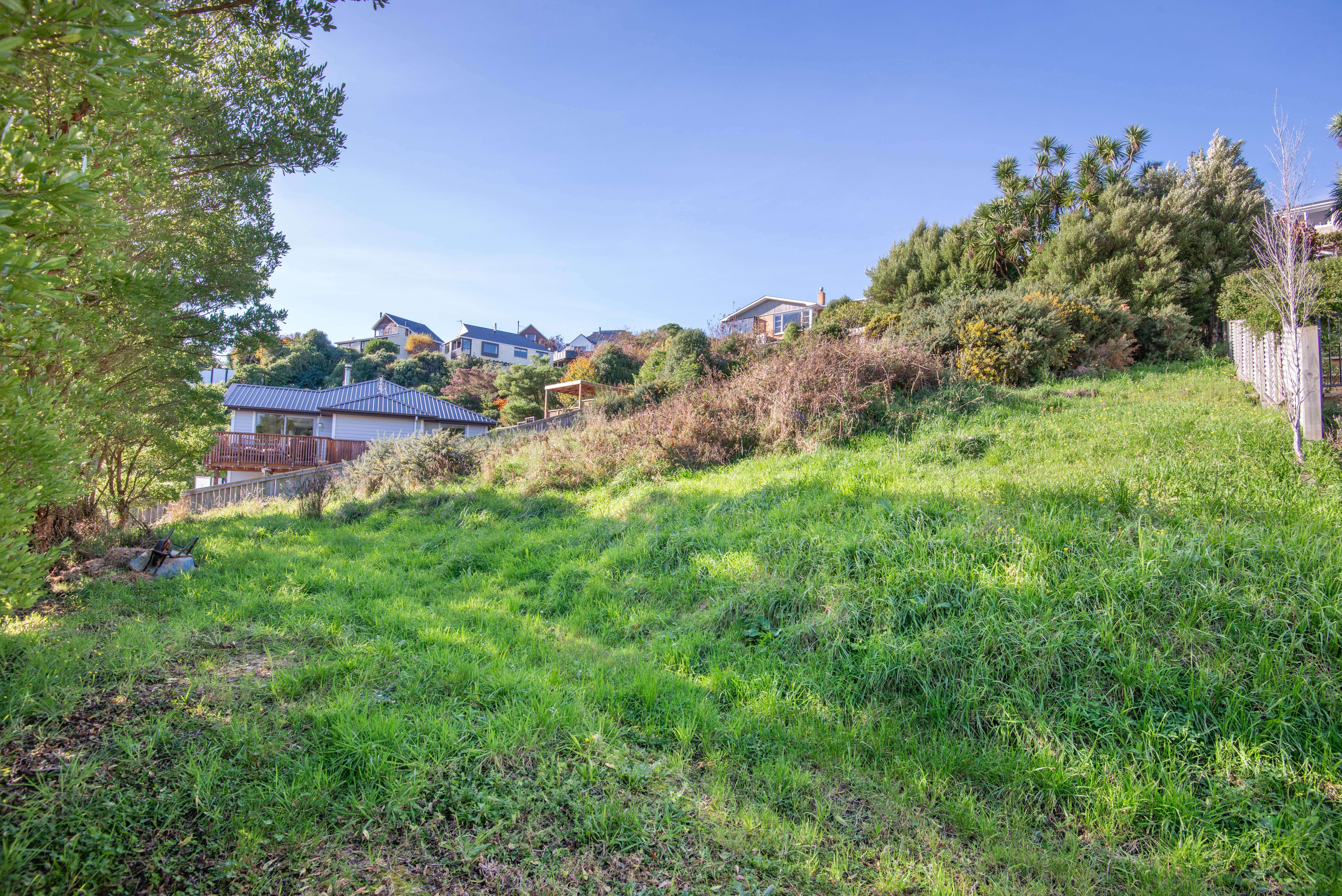 1 Lauriston Street, Andersons Bay, Dunedin City, 0 રૂમ, 0 બાથરૂમ, Section
