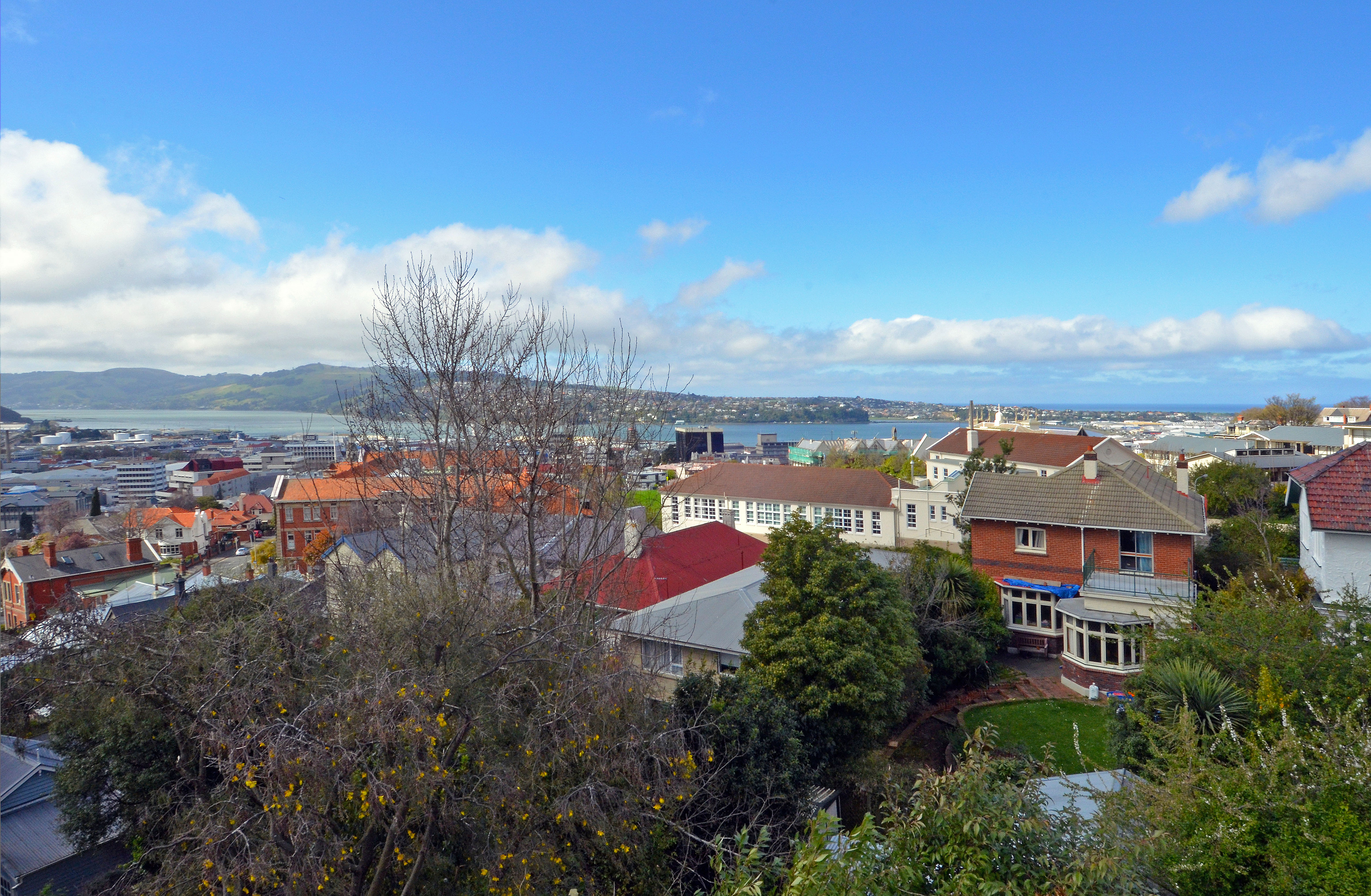 202 Cargill Street, Dunedin Central, Dunedin City, 6房, 0浴