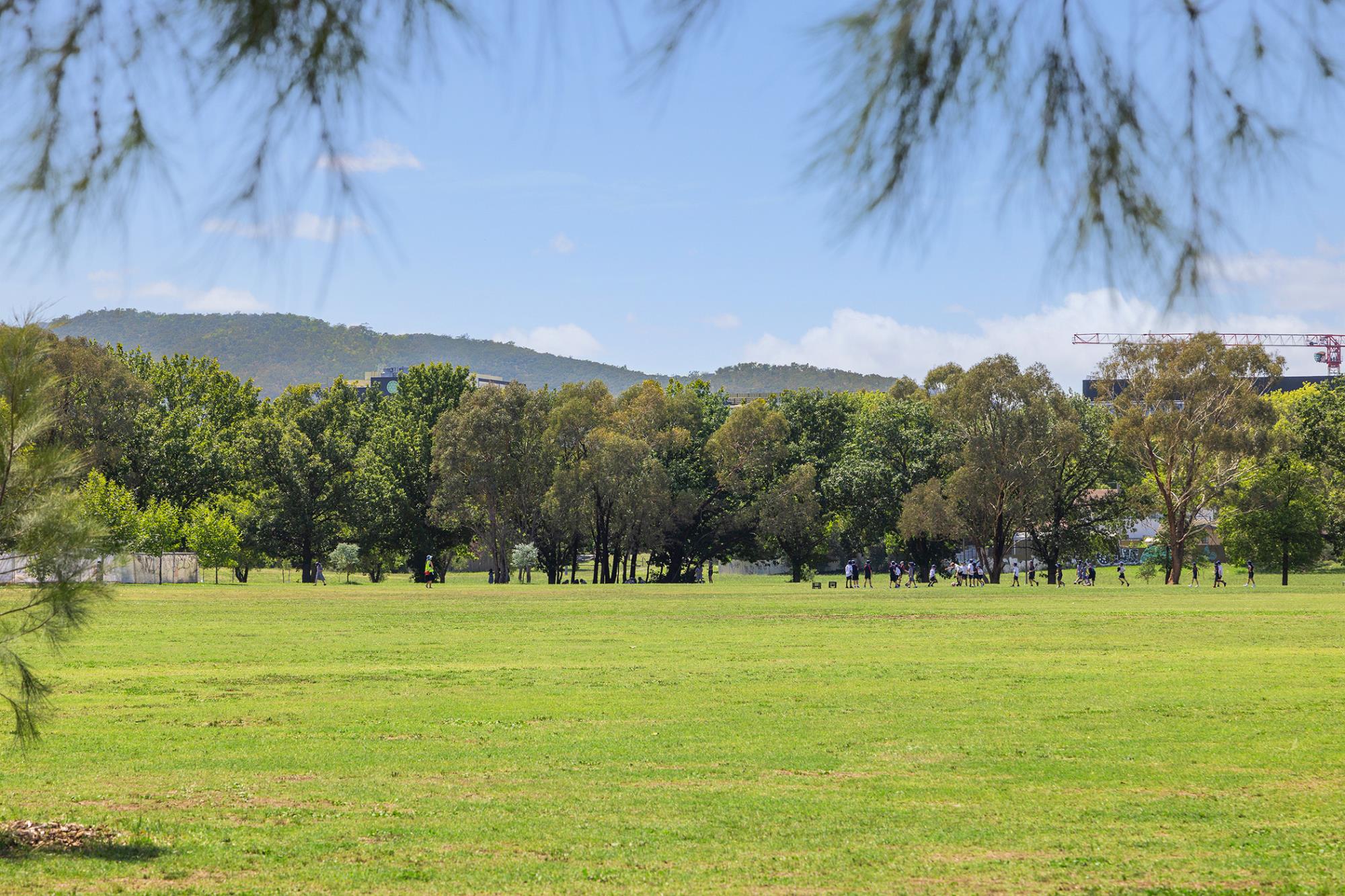 UNIT 11 39 BRIGALOW ST, O'Connor, Inner North, 0 Bedrooms, 0 Bathrooms, Unit