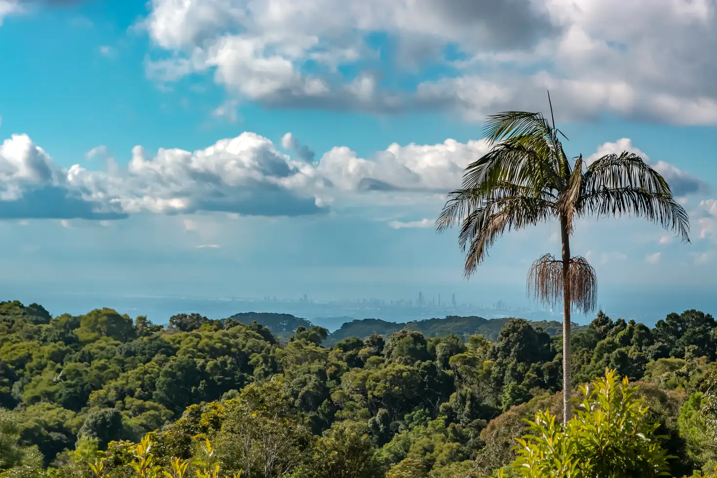 DARALULUN FAUNA SANCTUARY 162 REPEATER STATION RD, Springbrook, Gold Coast, 0 침실, 0 욕실, Lifestyle Section