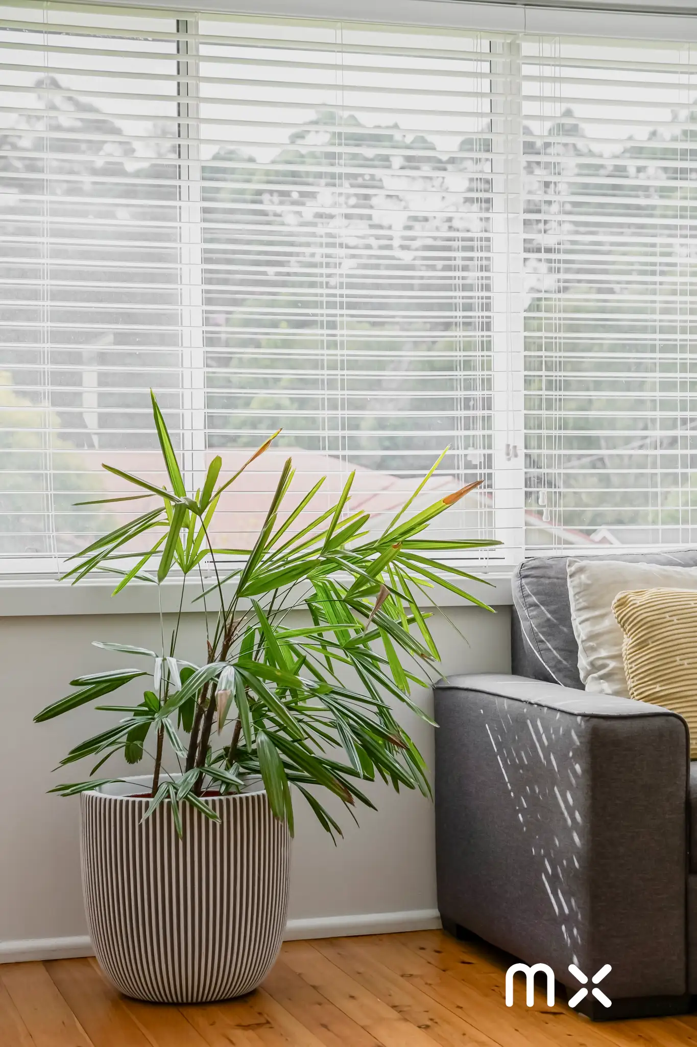 159 WAPLES RD, Farmborough Heights, Wollongong - Greater Region, 0 habitaciones, 0 baños, House
