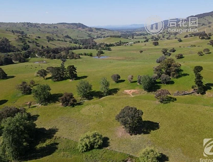 2288 BEECHWORTH-WODONGA RD, LENEVA VIC 3691, 0 ਕਮਰੇ, 0 ਬਾਥਰੂਮ, Lifestyle Section