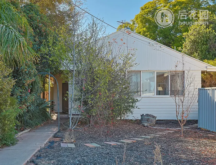 73 INDI AV, RED CLIFFS VIC 3496, 0 ห้องนอน, 0 ห้องน้ำ, House