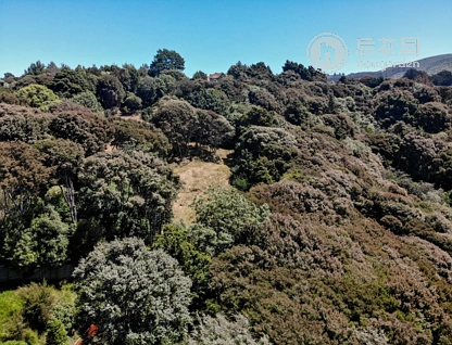 24 Fred Hollows Way, Glenleith, Dunedin, 0部屋, 0バスルーム