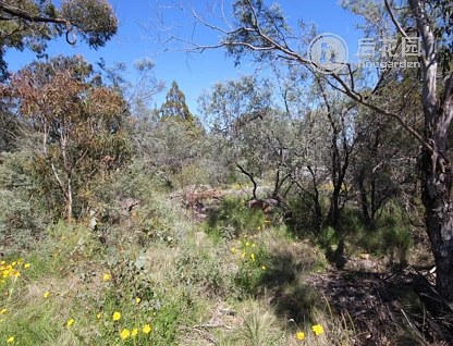 LOT 3 CALVERT RD, GLEN APLIN QLD 4381, 0 ਕਮਰੇ, 0 ਬਾਥਰੂਮ, Section