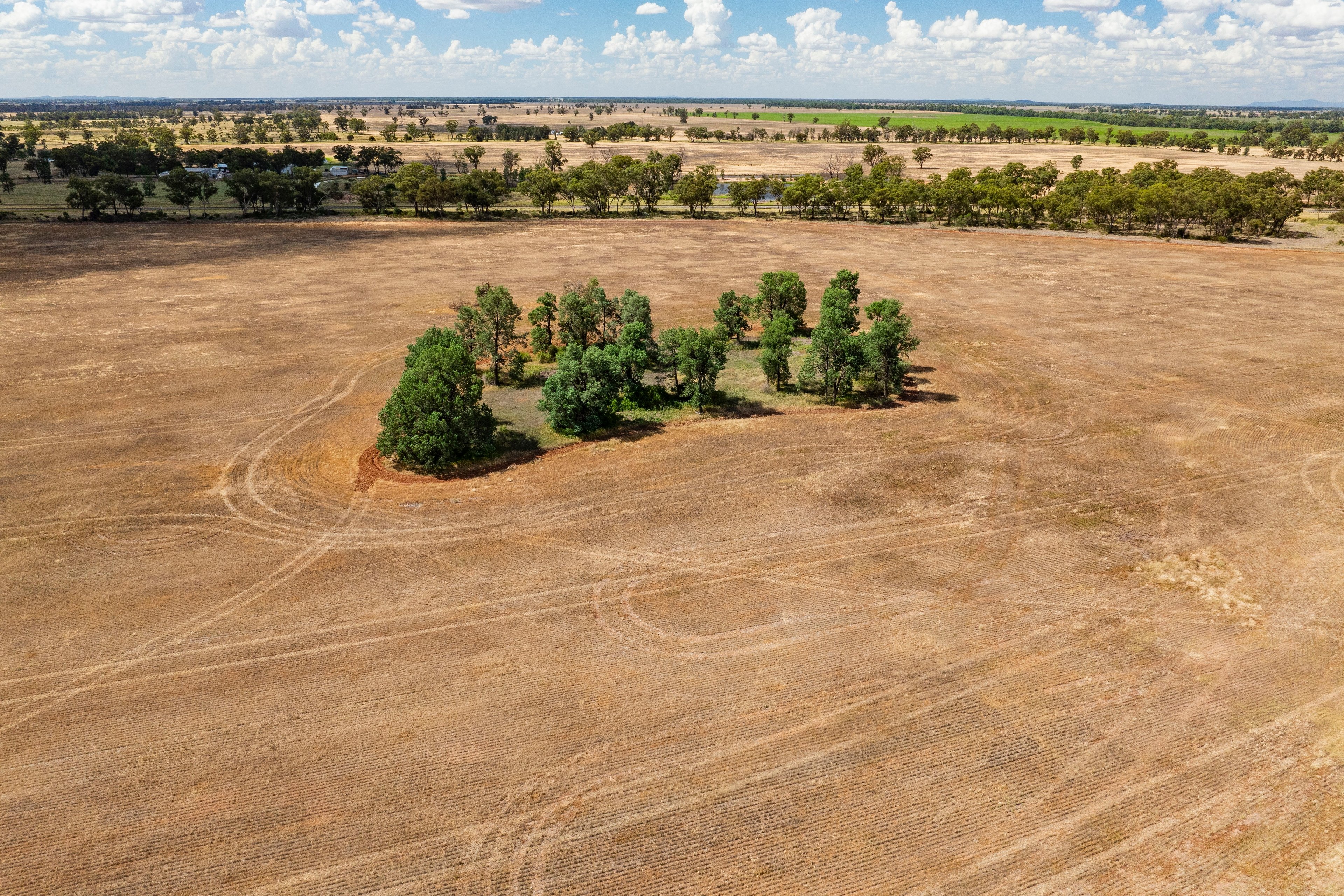 WESTBURY 3426 GOLDFIELDS WAY, Barmedman, Riverina, 0 rūma, 0 rūma horoi, Lifestyle Section