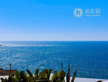 18 MOLONG ST, NORTH CURL CURL NSW 2099, 0部屋, 0バスルーム, House