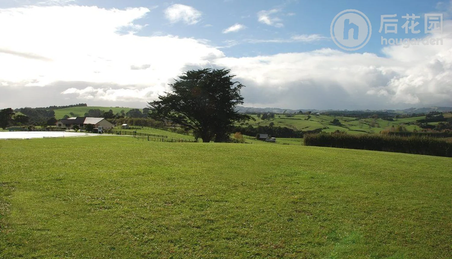 37 William Andrew Road, Pukekohe, Auckland - Franklin, 5 ਕਮਰੇ, 0 ਬਾਥਰੂਮ
