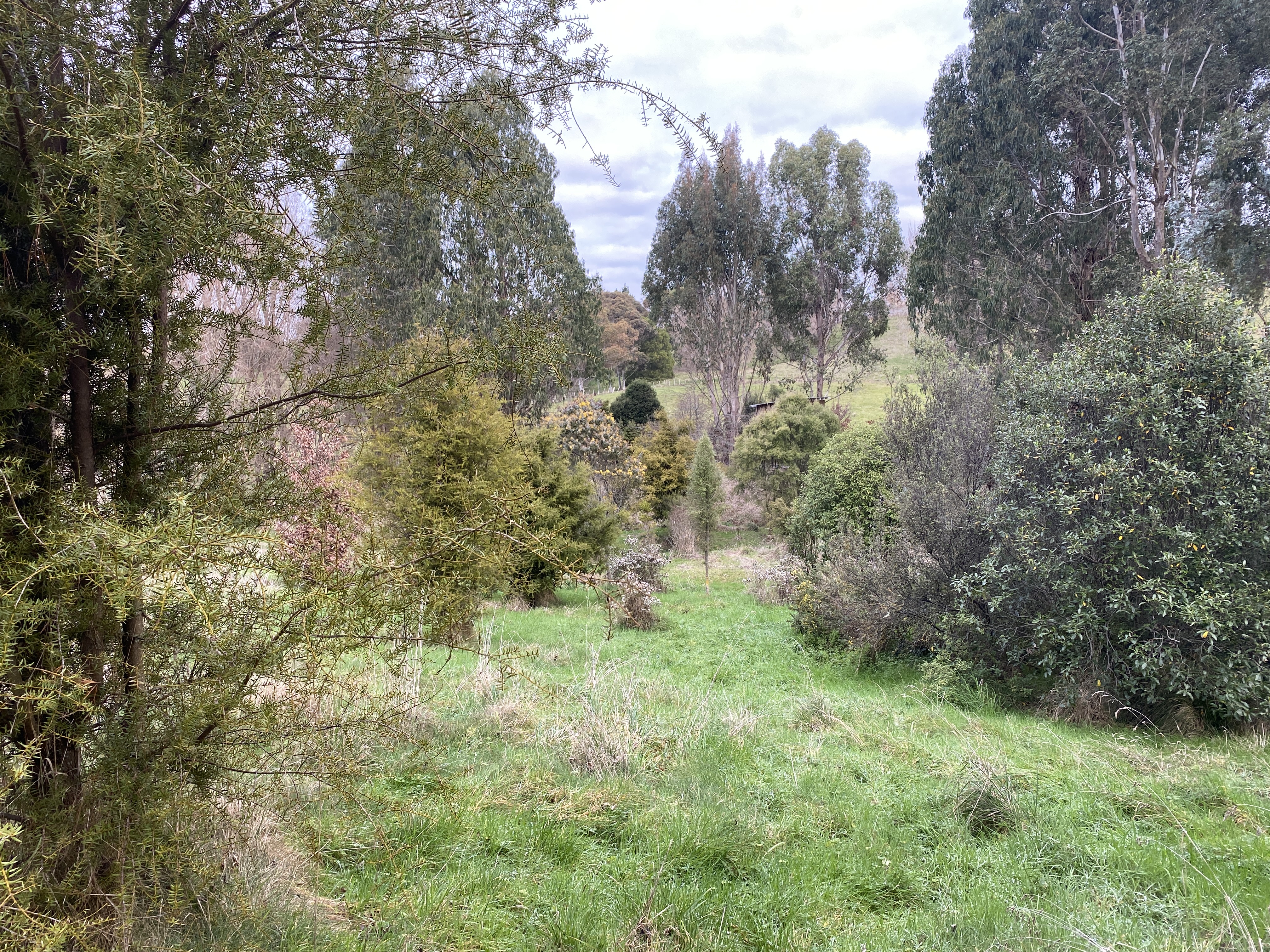 7 Whio Avenue, Feilding, Manawatu, 0 habitaciones, 0 baños, Section
