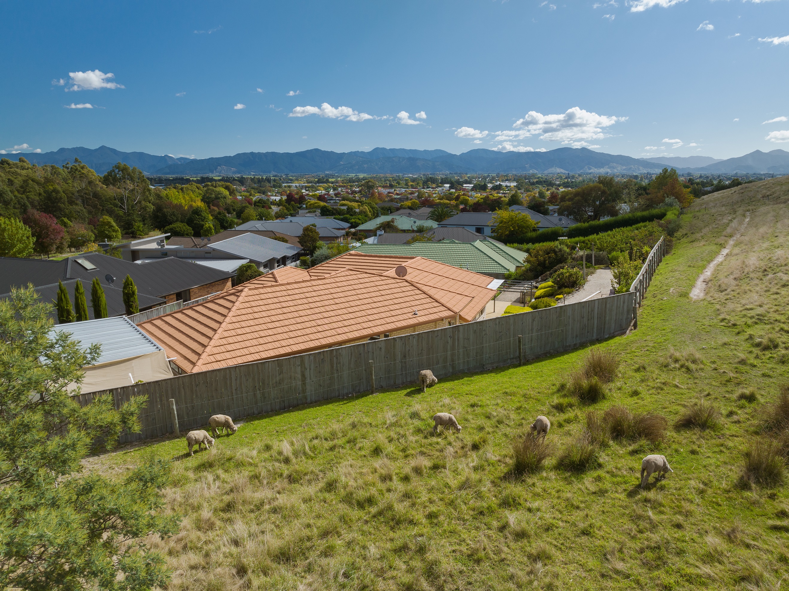 61 Forest Park Drive, Witherlea, Marlborough, 4 ਕਮਰੇ, 0 ਬਾਥਰੂਮ