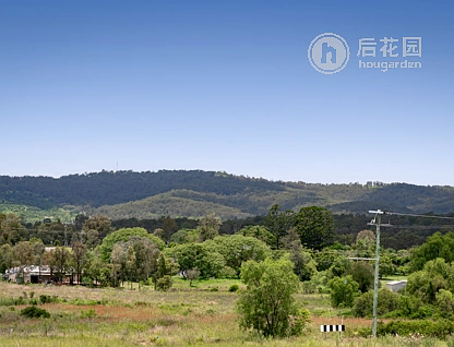 17 RIDGEVALE DR, REGENCY DOWNS QLD 4341, 0 ਕਮਰੇ, 0 ਬਾਥਰੂਮ, Section