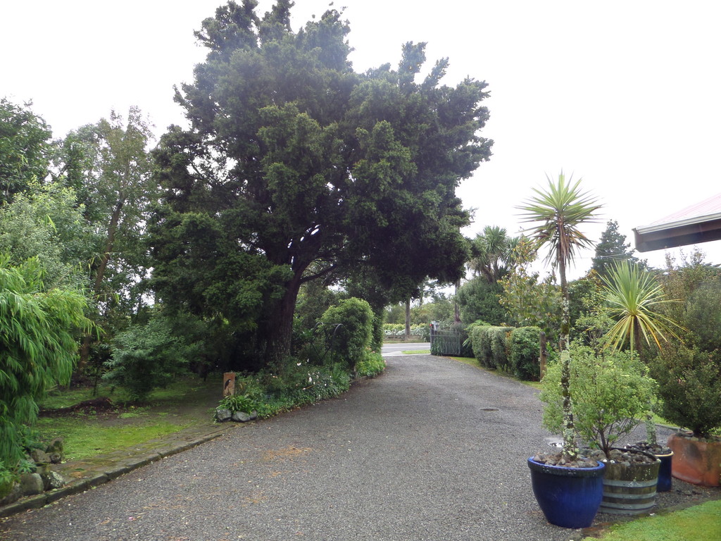 148 Fitzherbert Street, Featherston, South Wairarapa, 3 ਕਮਰੇ, 0 ਬਾਥਰੂਮ