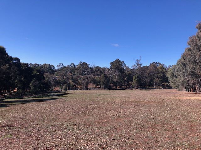 278 HENDERSON RD, Kangaroo Gully, Bunbury, 0 ห้องนอน, 0 ห้องน้ำ, House