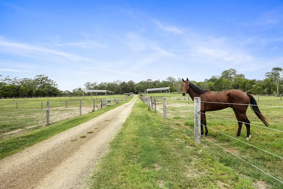 1507 COOROY BELLI CREEK RD, Ridgewood, Sunshine Coast, 0房, 0浴, House