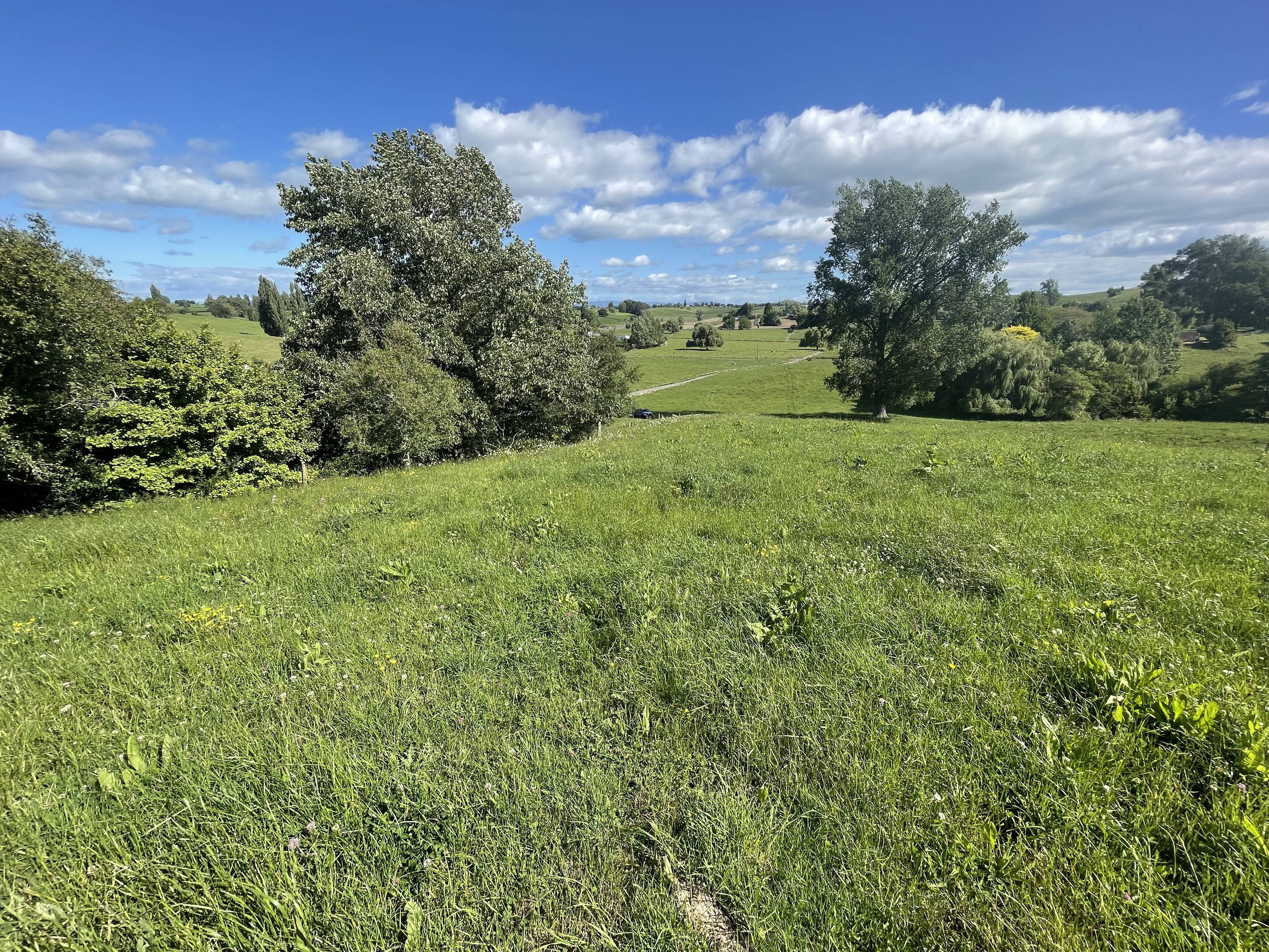 2/350 Otorohanga Road, Tokanui, Waipa, 0 Bedrooms, 0 Bathrooms, Lifestyle Section