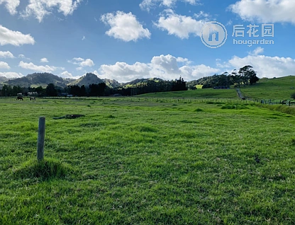 74 Pukepoto Road, Okaihau, Far North, 0房, 1浴, Unspecified
